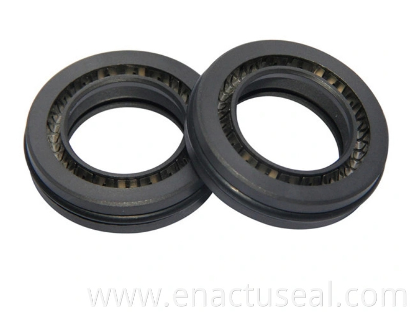 carbon ceramic mechanical seal